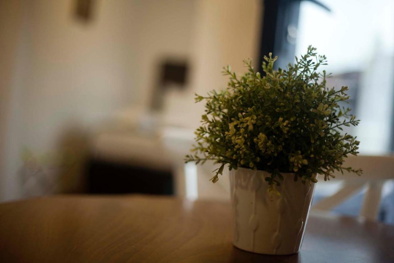 איסטמבול Galata Cicek Suites מראה חיצוני תמונה